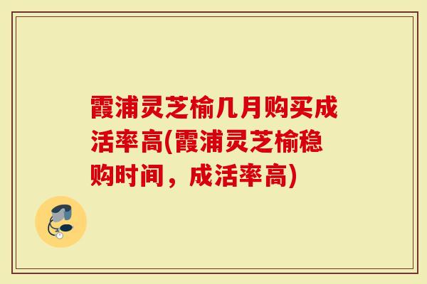 霞浦灵芝榆几月购买成活率高(霞浦灵芝榆稳购时间，成活率高)