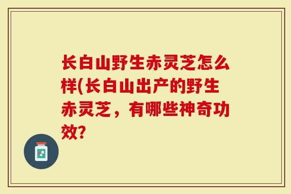 长白山野生赤灵芝怎么样(长白山出产的野生赤灵芝，有哪些神奇功效？