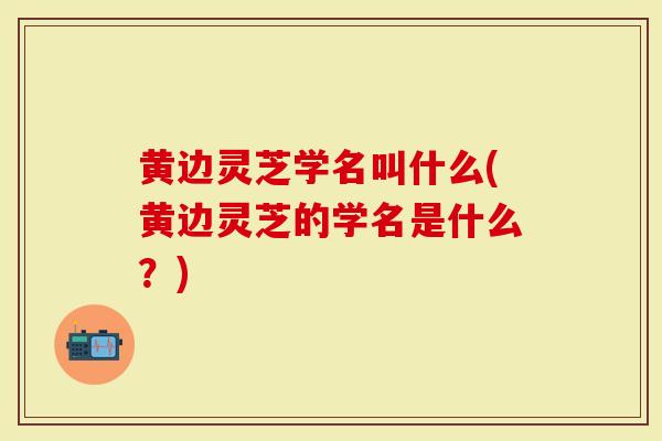 黄边灵芝学名叫什么(黄边灵芝的学名是什么？)