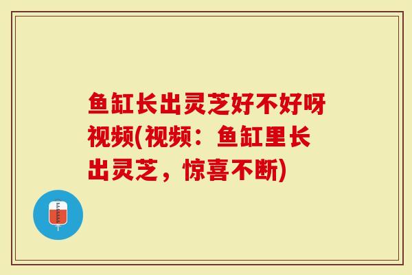 鱼缸长出灵芝好不好呀视频(视频：鱼缸里长出灵芝，惊喜不断)