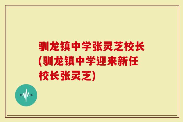 驯龙镇中学张灵芝校长(驯龙镇中学迎来新任校长张灵芝)