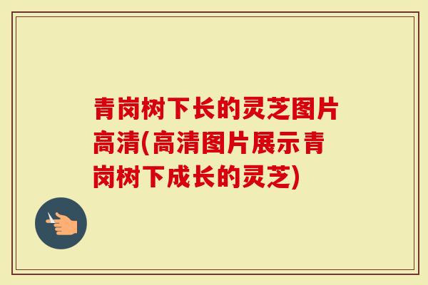 青岗树下长的灵芝图片高清(高清图片展示青岗树下成长的灵芝)