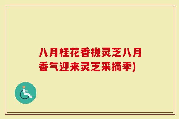 八月桂花香拔灵芝八月香气迎来灵芝采摘季)