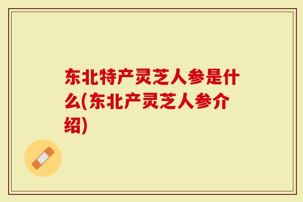 东北特产灵芝人参是什么(东北产灵芝人参介绍)