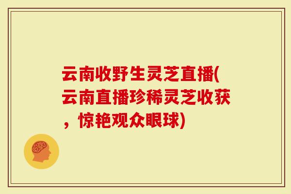 云南收野生灵芝直播(云南直播珍稀灵芝收获，惊艳观众眼球)