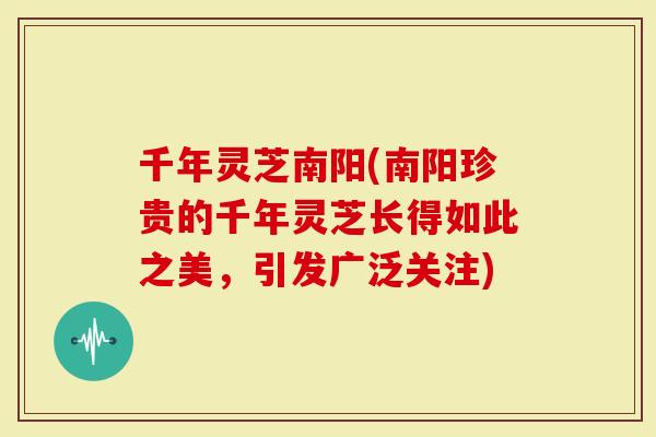 千年灵芝南阳(南阳珍贵的千年灵芝长得如此之美，引发广泛关注)