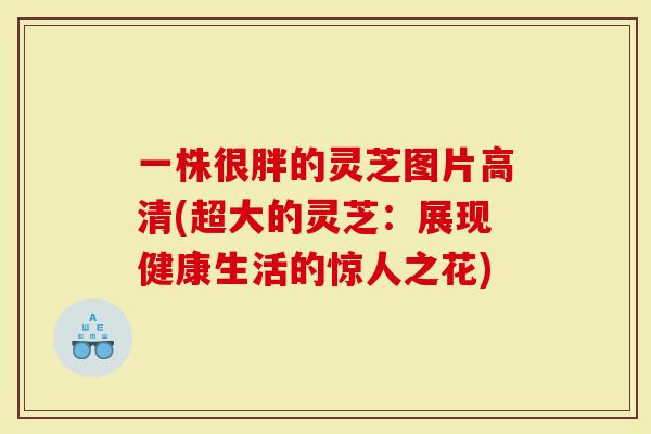 一株很胖的灵芝图片高清(超大的灵芝：展现健康生活的惊人之花)