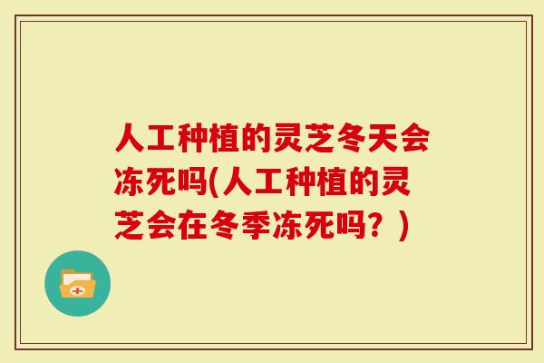 人工种植的灵芝冬天会冻死吗(人工种植的灵芝会在冬季冻死吗？)