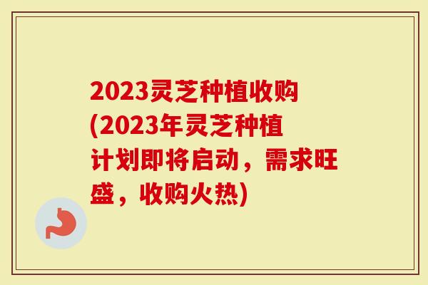 2023灵芝种植收购(2023年灵芝种植计划即将启动，需求旺盛，收购火热)