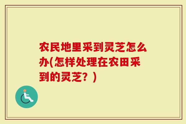 农民地里采到灵芝怎么办(怎样处理在农田采到的灵芝？)