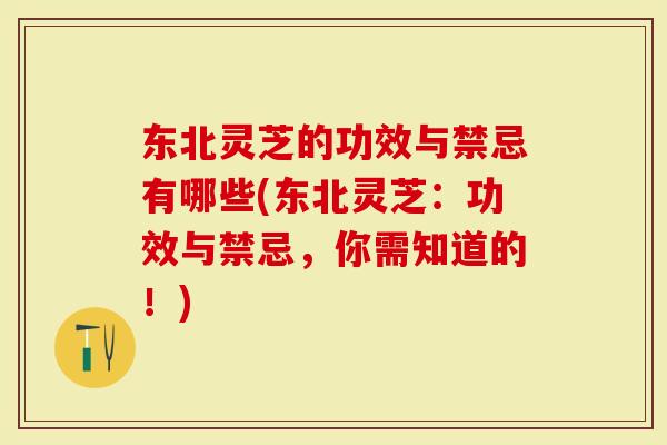 东北灵芝的功效与禁忌有哪些(东北灵芝：功效与禁忌，你需知道的！)