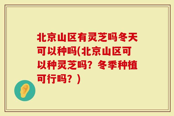 北京山区有灵芝吗冬天可以种吗(北京山区可以种灵芝吗？冬季种植可行吗？)