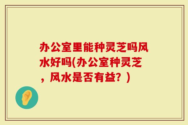 办公室里能种灵芝吗风水好吗(办公室种灵芝，风水是否有益？)