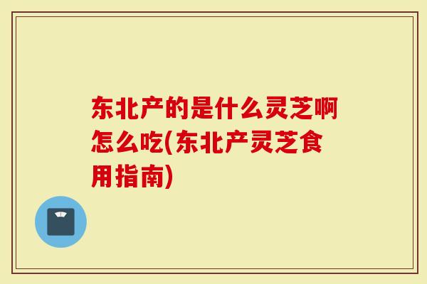 东北产的是什么灵芝啊怎么吃(东北产灵芝食用指南)