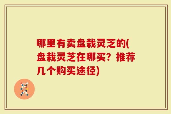 哪里有卖盘栽灵芝的(盘栽灵芝在哪买？推荐几个购买途径)