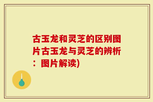 古玉龙和灵芝的区别图片古玉龙与灵芝的辨析：图片解读)