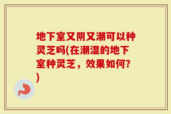 地下室又阴又潮可以种灵芝吗(在潮湿的地下室种灵芝，效果如何？)