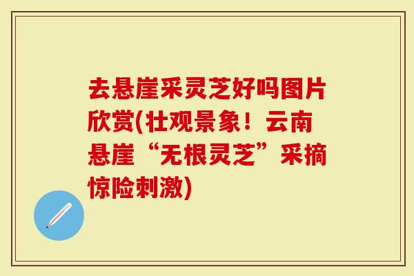 去悬崖采灵芝好吗图片欣赏(壮观景象！云南悬崖“无根灵芝”采摘惊险刺激)