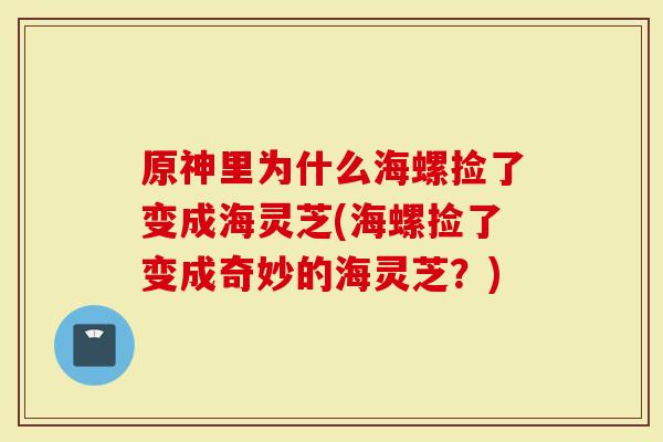 原神里为什么海螺捡了变成海灵芝(海螺捡了变成奇妙的海灵芝？)