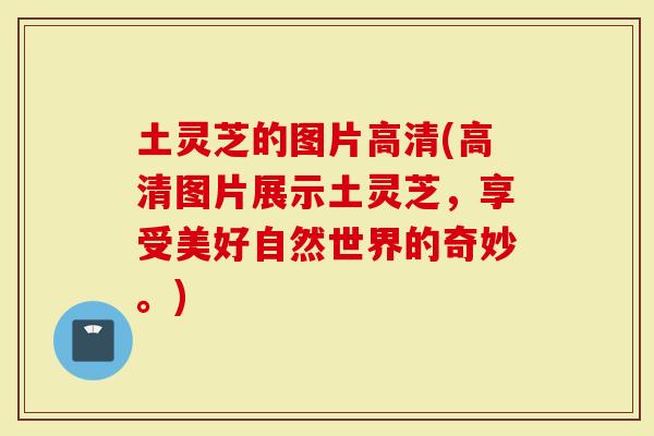 土灵芝的图片高清(高清图片展示土灵芝，享受美好自然世界的奇妙。)