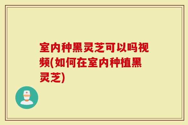 室内种黑灵芝可以吗视频(如何在室内种植黑灵芝)