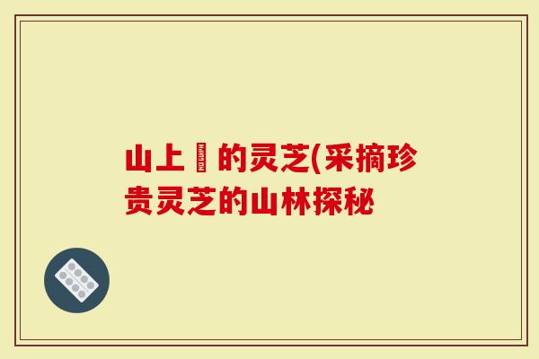 山上釆的灵芝(采摘珍贵灵芝的山林探秘