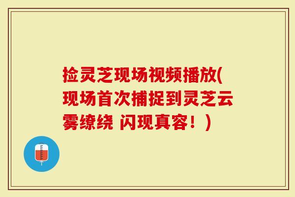 捡灵芝现场视频播放(现场首次捕捉到灵芝云雾缭绕 闪现真容！)