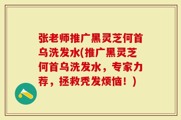 张老师推广黑灵芝何首乌洗发水(推广黑灵芝何首乌洗发水，专家力荐，拯救秃发烦恼！)