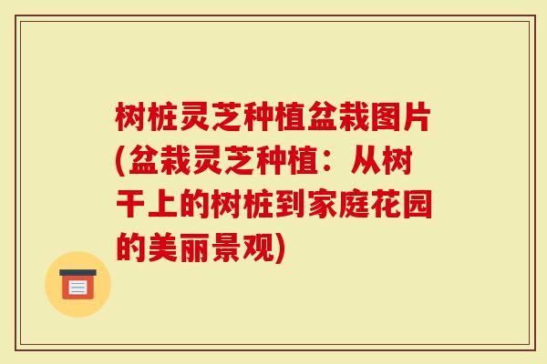 树桩灵芝种植盆栽图片(盆栽灵芝种植：从树干上的树桩到家庭花园的美丽景观)