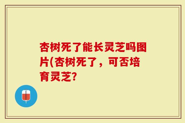 杏树死了能长灵芝吗图片(杏树死了，可否培育灵芝？