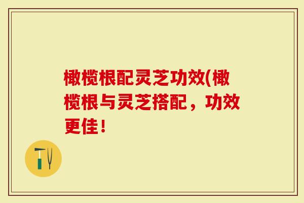 橄榄根配灵芝功效(橄榄根与灵芝搭配，功效更佳！