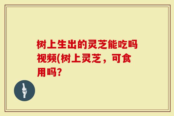 树上生出的灵芝能吃吗视频(树上灵芝，可食用吗？