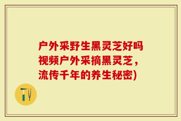 户外采野生黑灵芝好吗视频户外采摘黑灵芝，流传千年的养生秘密)