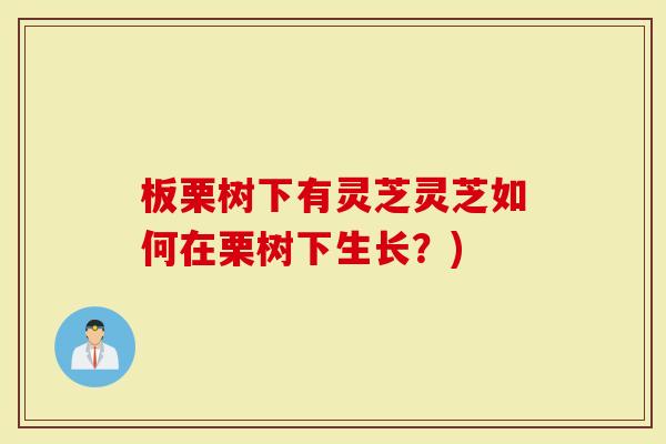 板栗树下有灵芝灵芝如何在栗树下生长？)