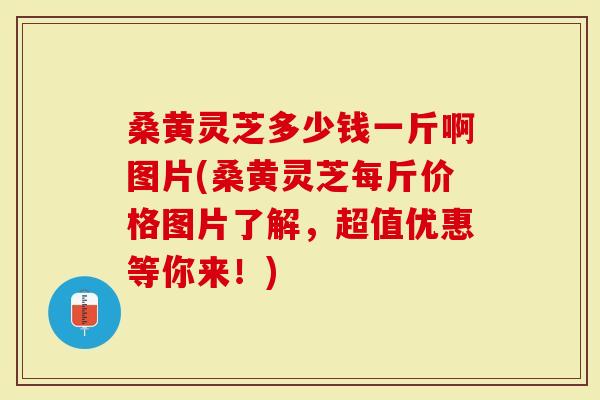 桑黄灵芝多少钱一斤啊图片(桑黄灵芝每斤价格图片了解，超值优惠等你来！)