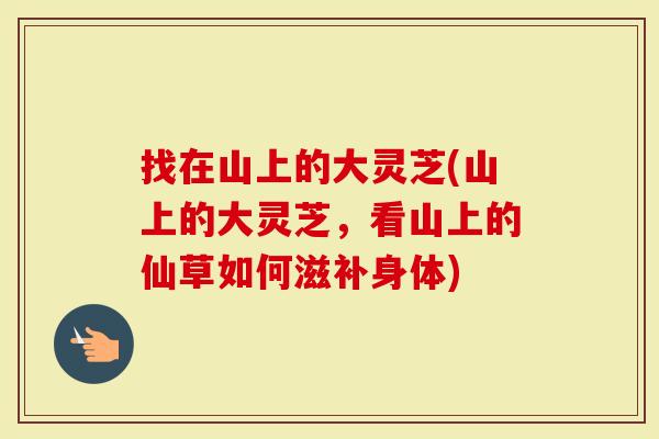 找在山上的大灵芝(山上的大灵芝，看山上的仙草如何滋补身体)