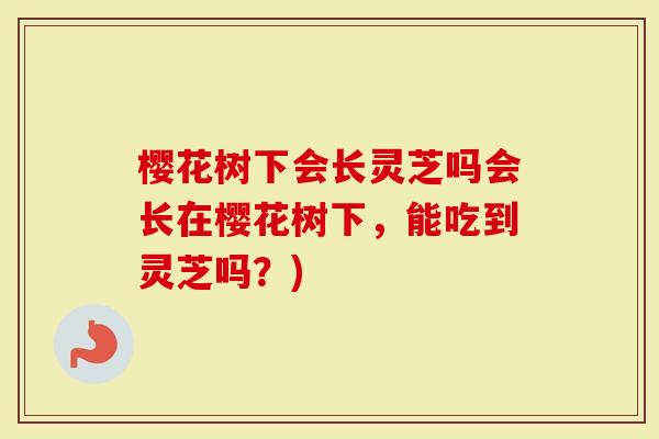 樱花树下会长灵芝吗会长在樱花树下，能吃到灵芝吗？)