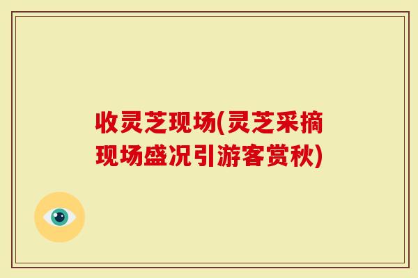 收灵芝现场(灵芝采摘现场盛况引游客赏秋)