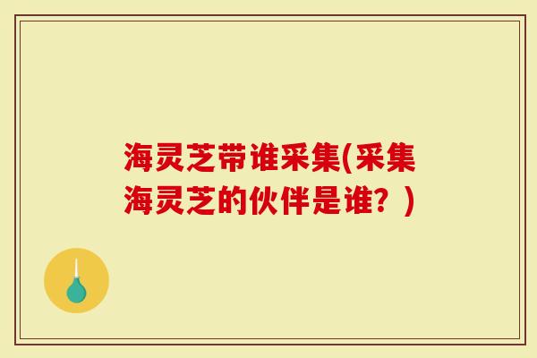 海灵芝带谁采集(采集海灵芝的伙伴是谁？)