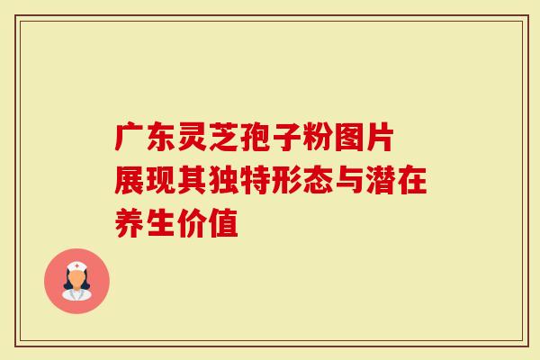 广东灵芝孢子粉图片 展现其独特形态与潜在养生价值