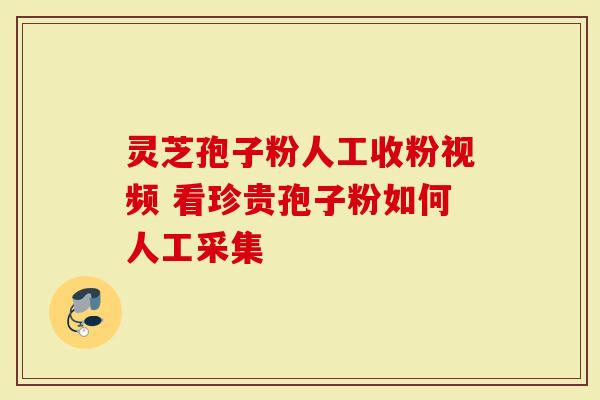 灵芝孢子粉人工收粉视频 看珍贵孢子粉如何人工采集