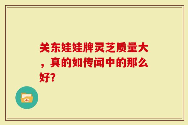 关东娃娃牌灵芝质量大，真的如传闻中的那么好？