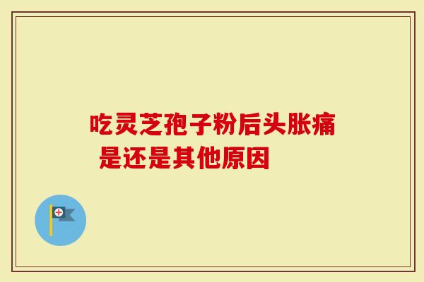 吃灵芝孢子粉后头胀痛 是还是其他原因