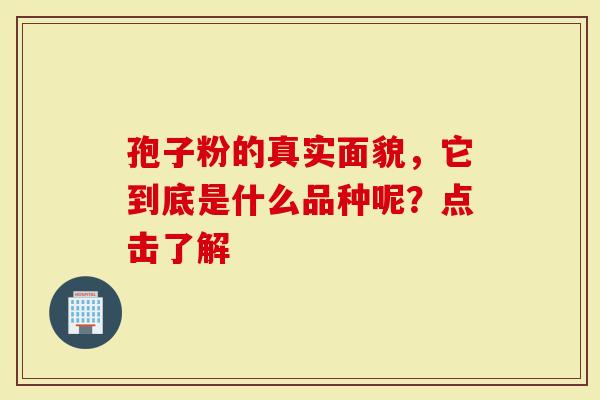 孢子粉的真实面貌，它到底是什么品种呢？点击了解