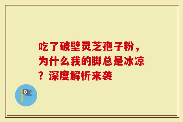 吃了破壁灵芝孢子粉，为什么我的脚总是冰凉？深度解析来袭